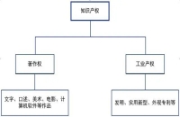 知識(shí)產(chǎn)權(quán)都有哪些