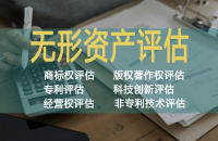 國外專利無形資產(chǎn)評估方法及其應(yīng)用