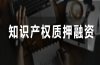 如何通過(guò)知識(shí)產(chǎn)權(quán)賺錢