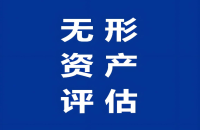 知識(shí)產(chǎn)權(quán)評(píng)估