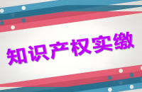 沒(méi)有資金進(jìn)行實(shí)繳怎么辦？